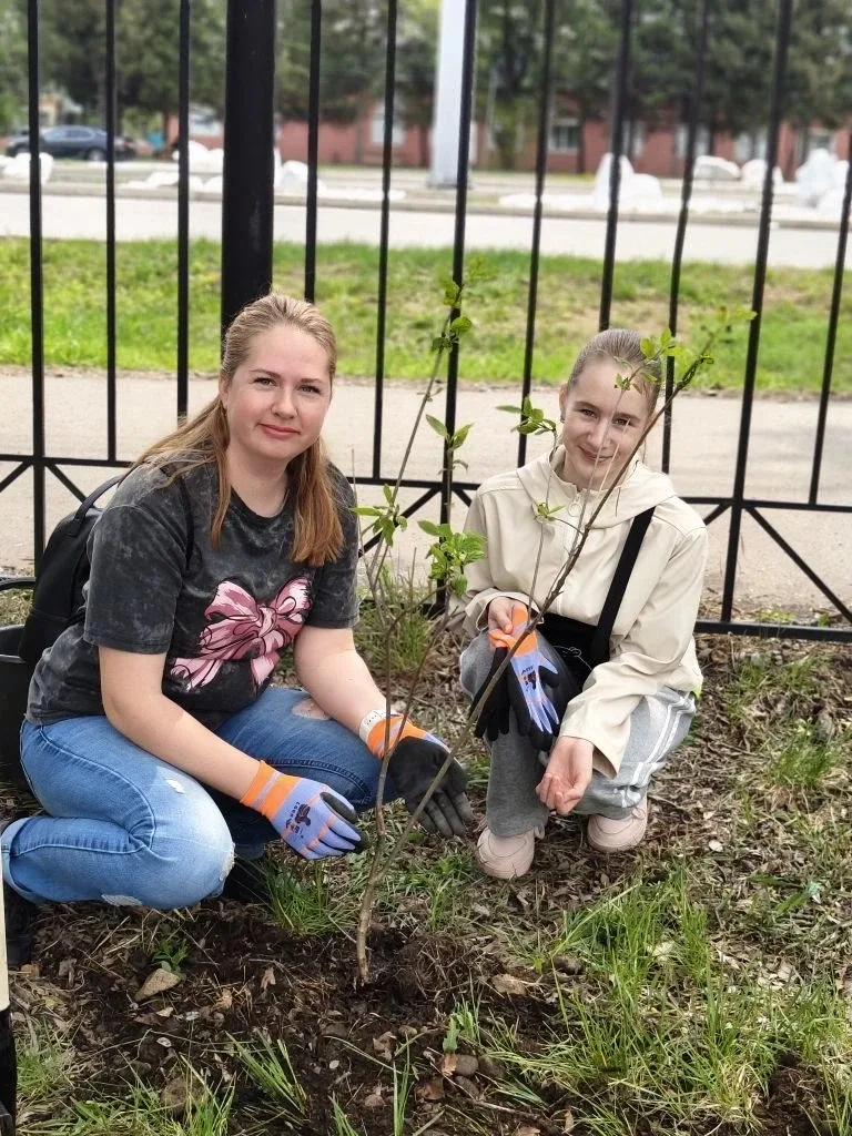🌿 «Нить поколений»: как сирень объединяет лицей  В нашем лицее прошла трогательная экологическая акц