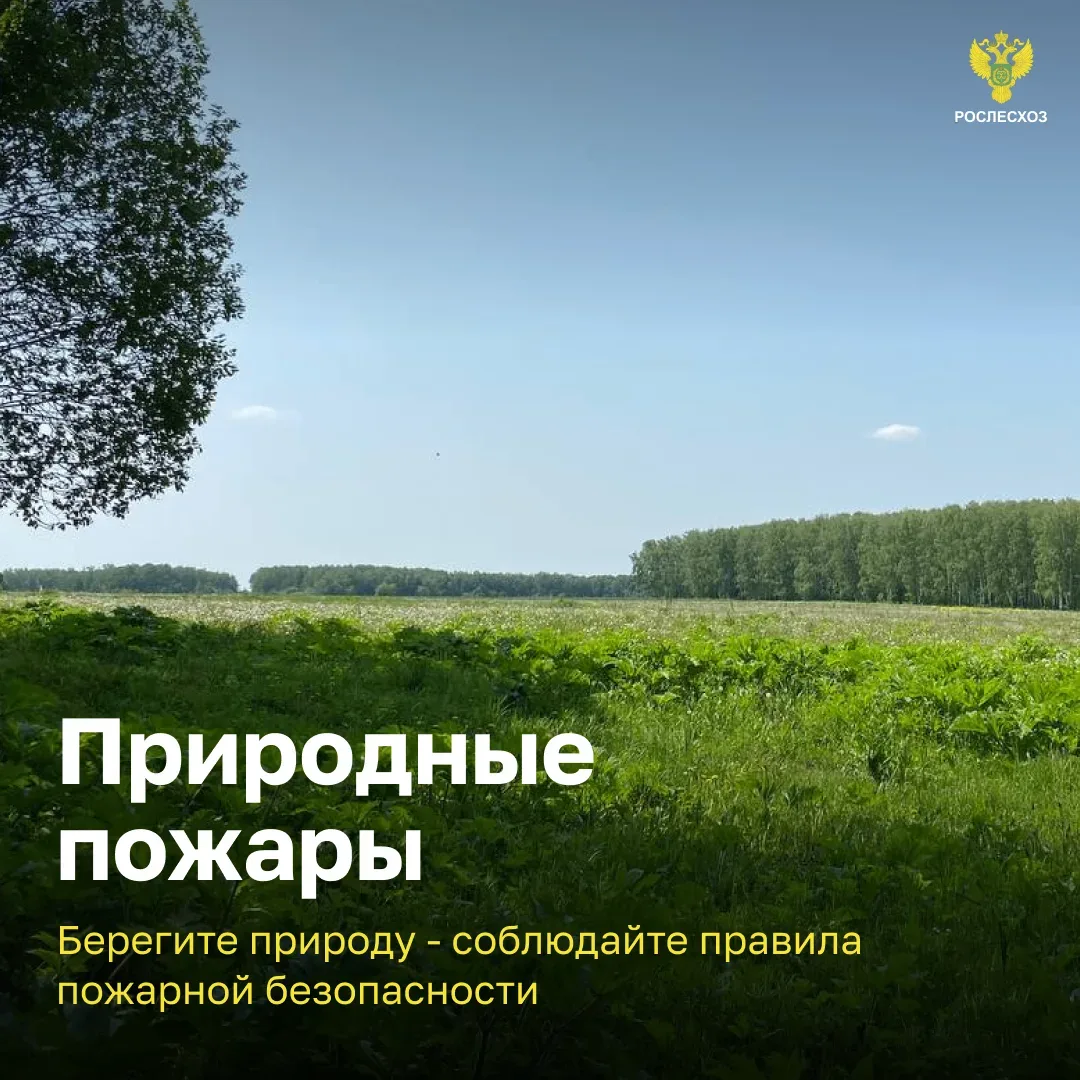 🌱Берегите природу. Соблюдайте правила пожарной безопасности