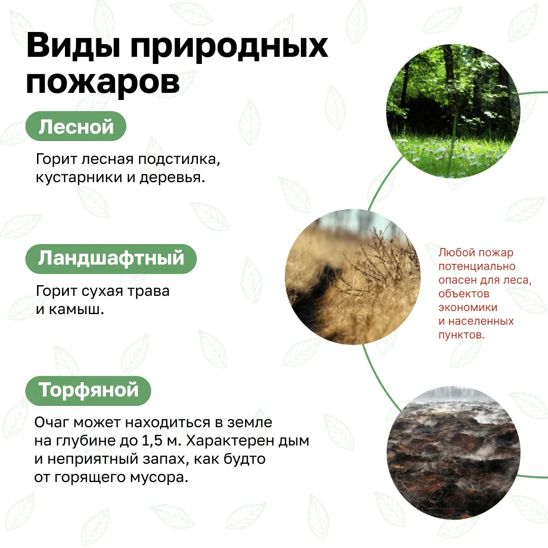 🌱Берегите природу. Соблюдайте правила пожарной безопасности