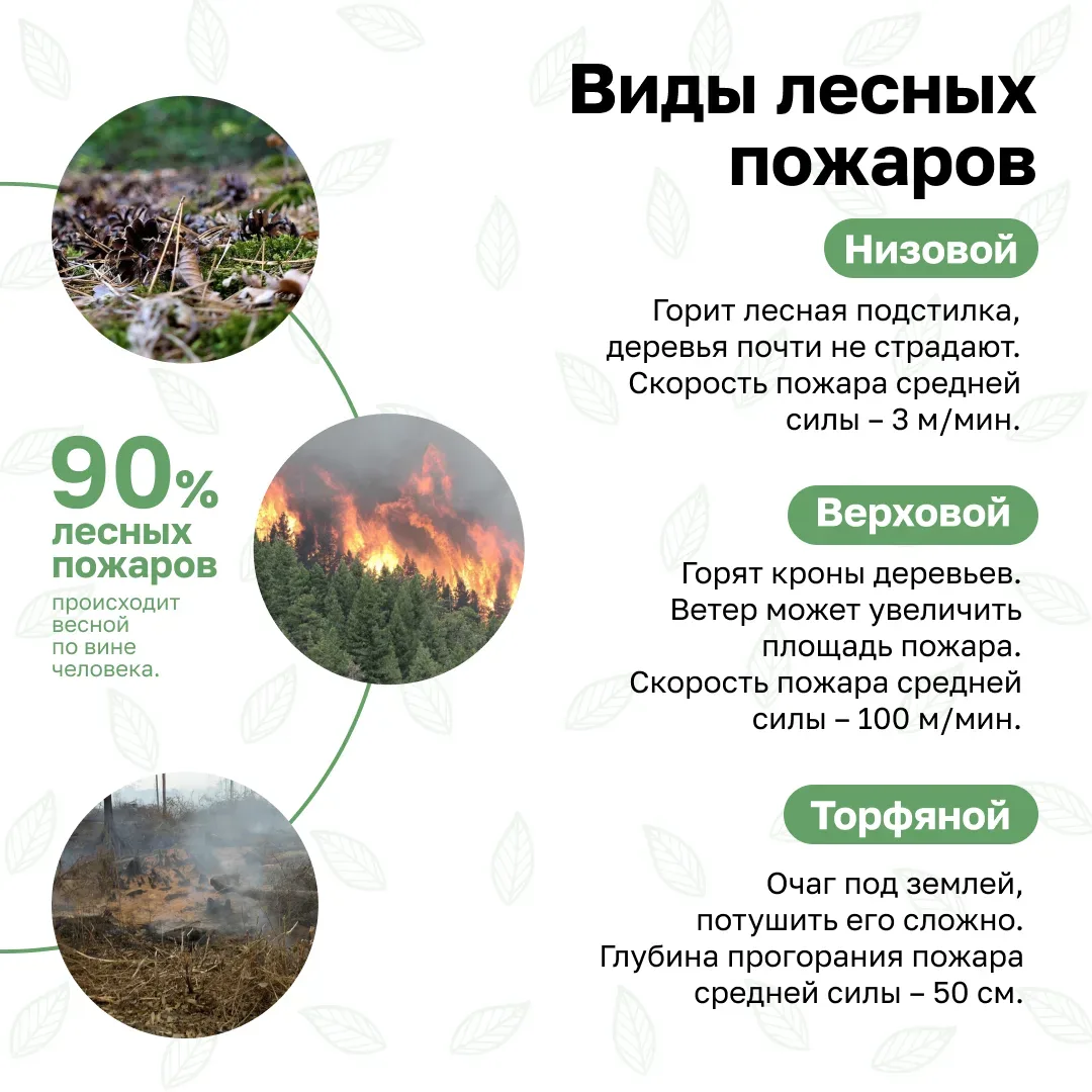 🌱Берегите природу. Соблюдайте правила пожарной безопасности