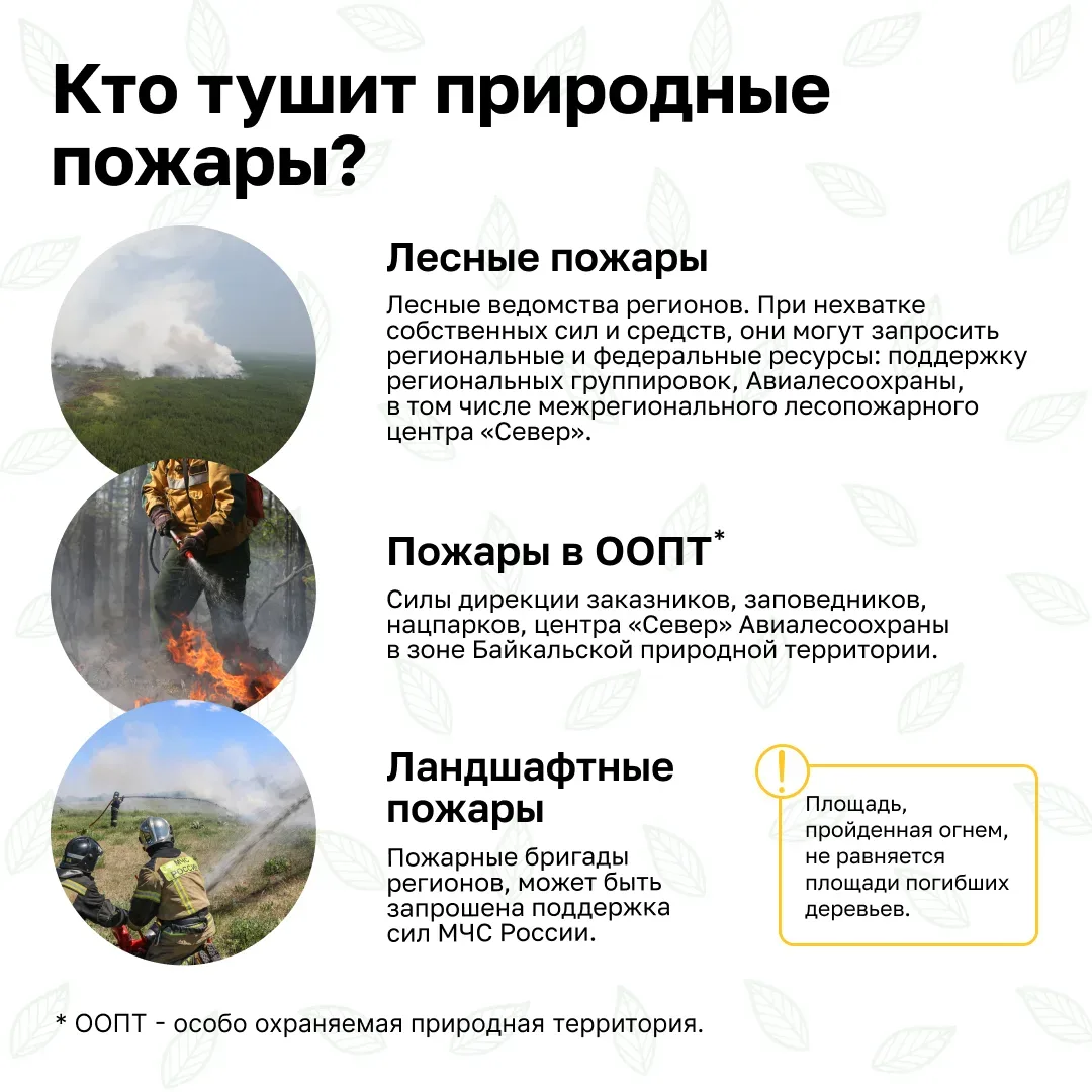 🌱Берегите природу. Соблюдайте правила пожарной безопасности