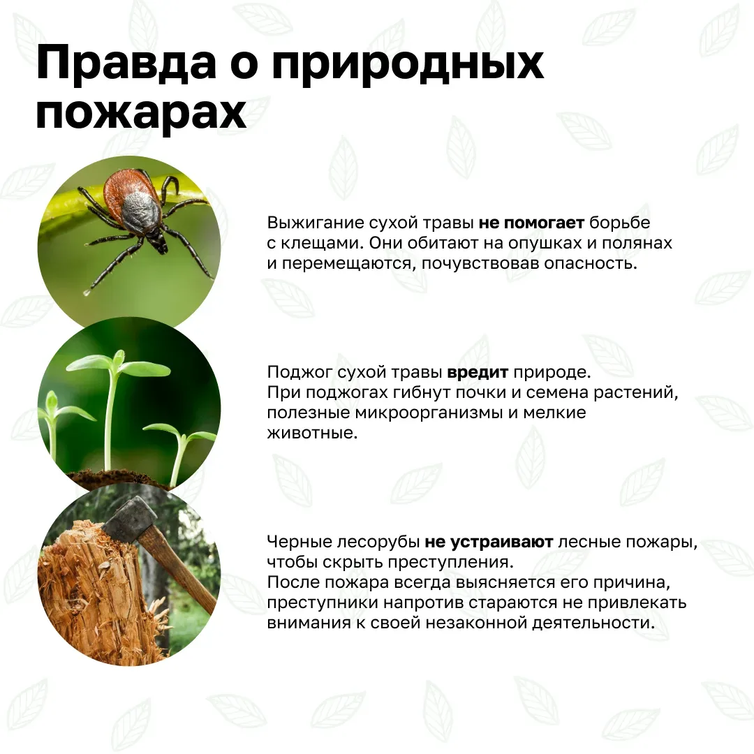 🌱Берегите природу. Соблюдайте правила пожарной безопасности