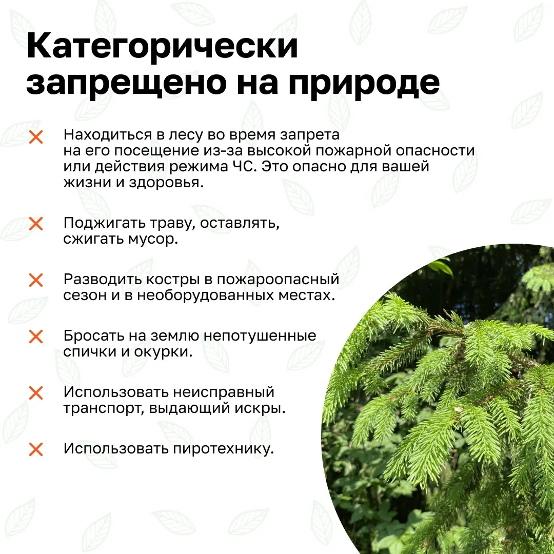 🌱Берегите природу. Соблюдайте правила пожарной безопасности