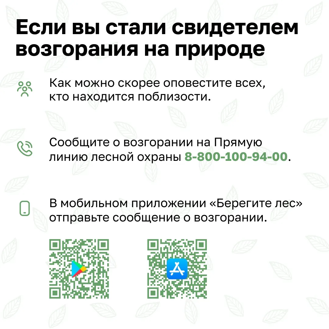 🌱Берегите природу. Соблюдайте правила пожарной безопасности