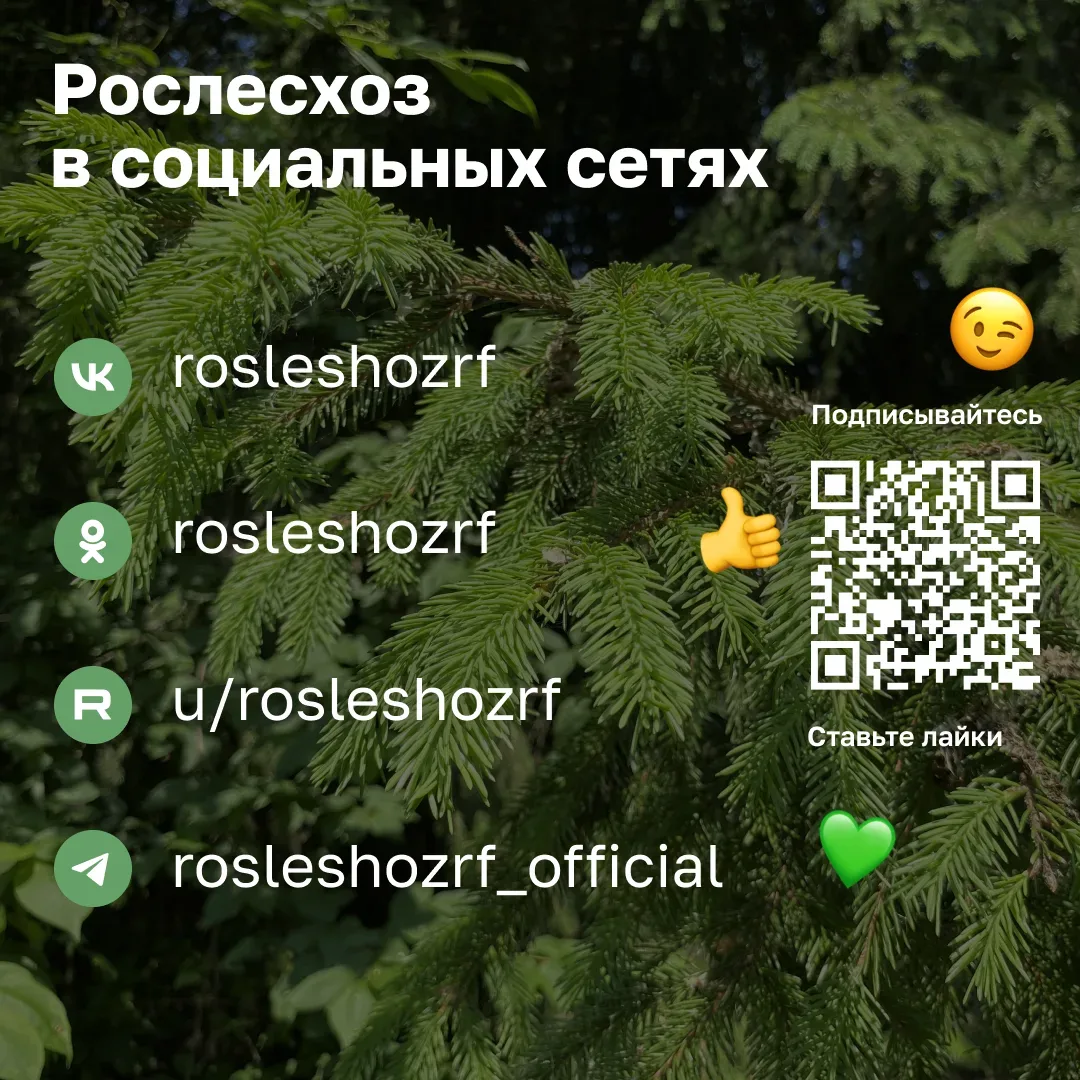 🌱Берегите природу. Соблюдайте правила пожарной безопасности