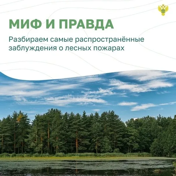 ✅Миф и правда. Заблуждения о лесных пожарах