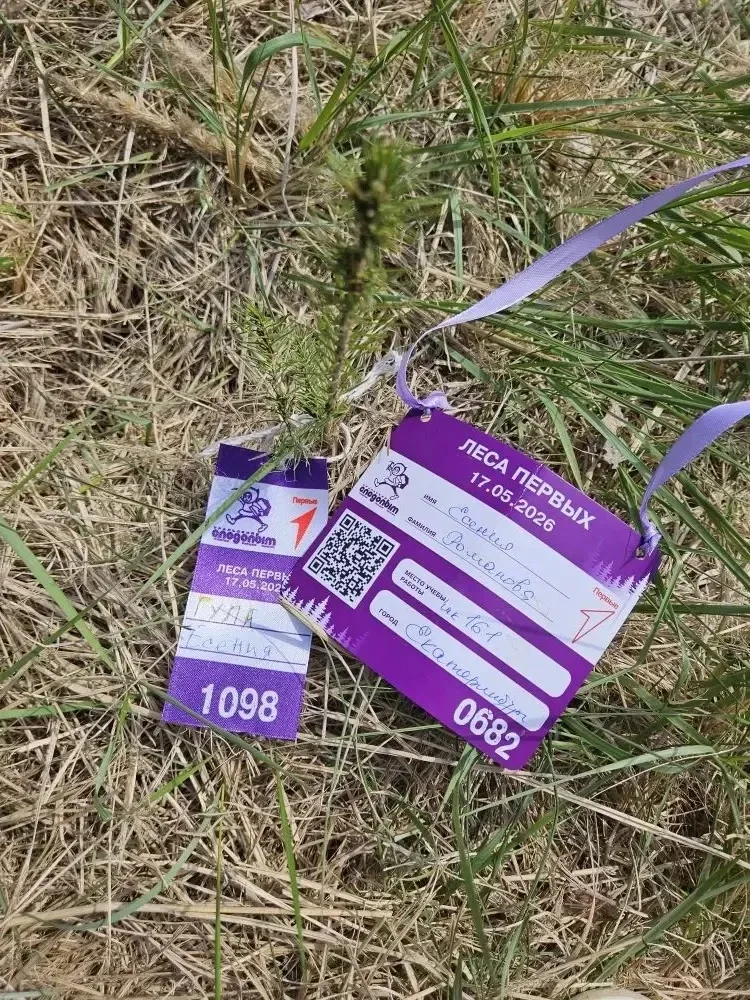 🌿🌲🌳 Традиционные Леса Первых на Шарташе сделали мир зеленее! 🌳🌲🌿  В эти выходные, 17 мая, на Шарташе