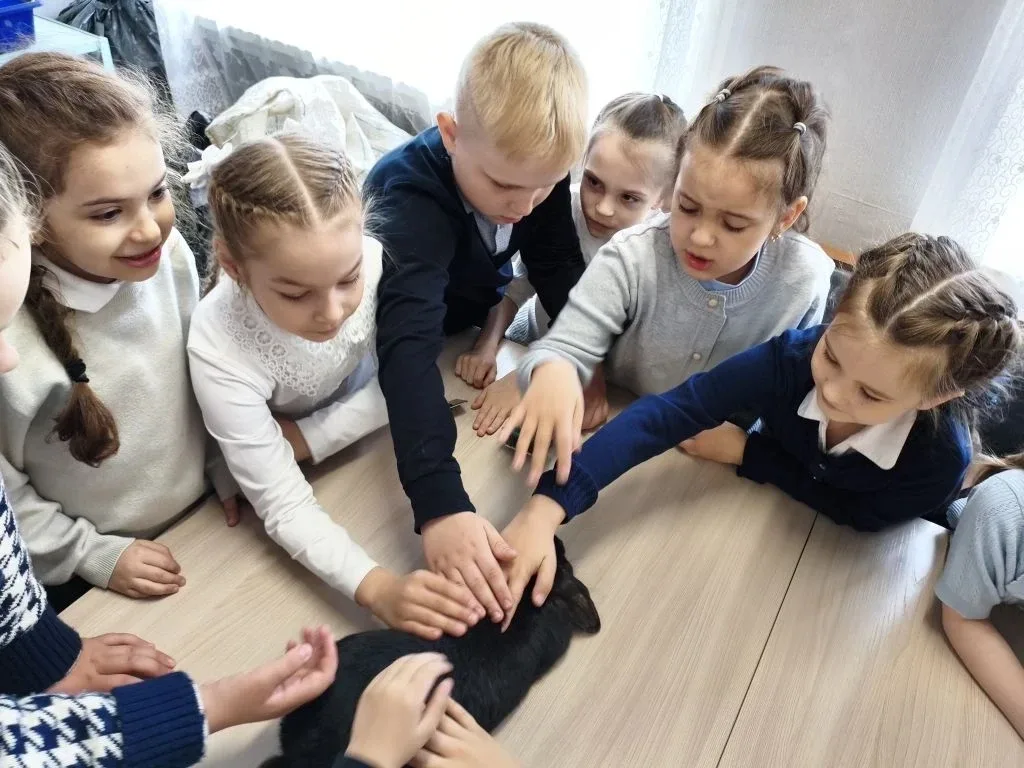 14 мая, ученики 1 «Б» класса посетили живой уголок. Ребята увидели разных животных: кроликов, черепа
