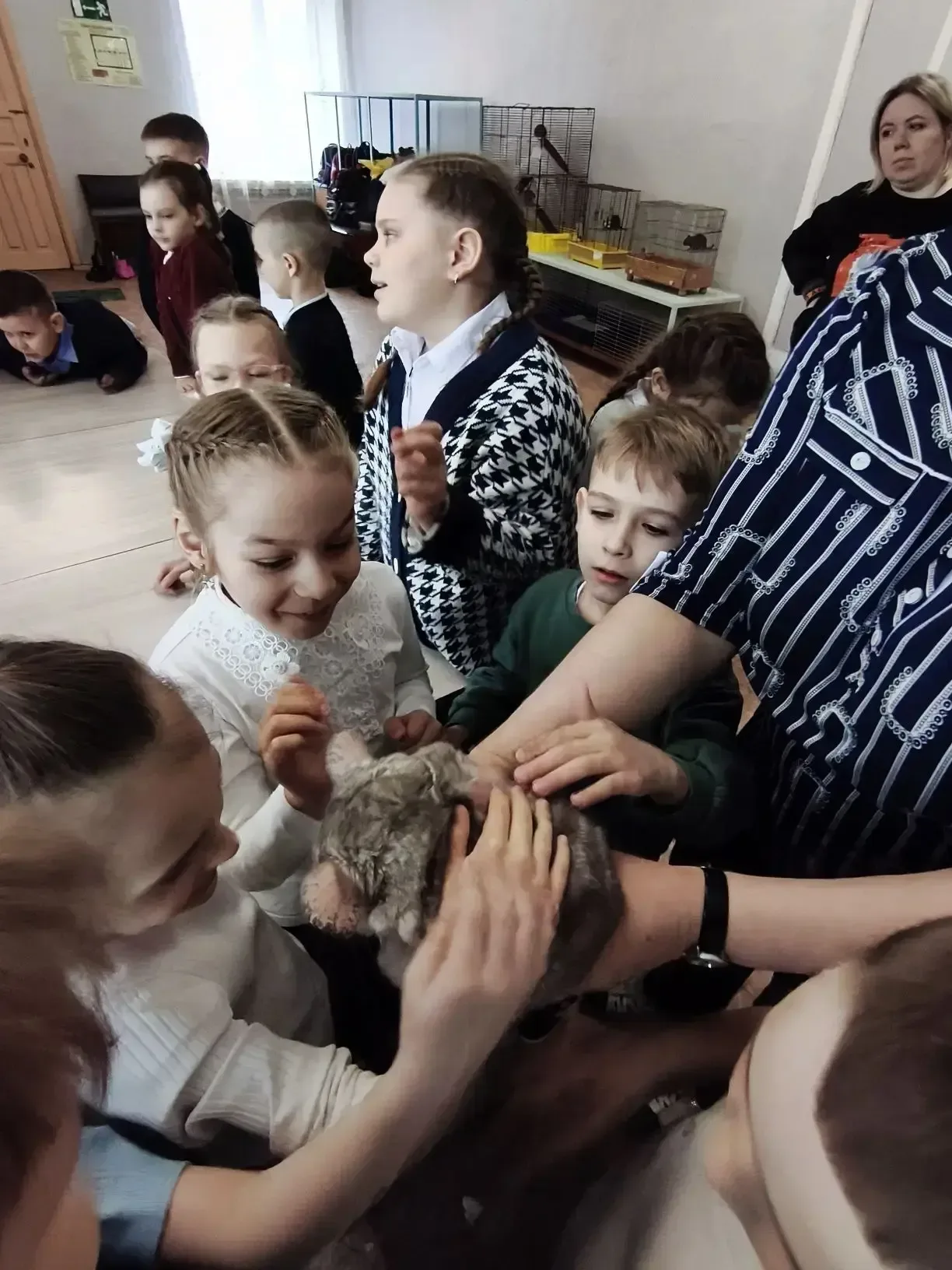 14 мая, ученики 1 «Б» класса посетили живой уголок. Ребята увидели разных животных: кроликов, черепа