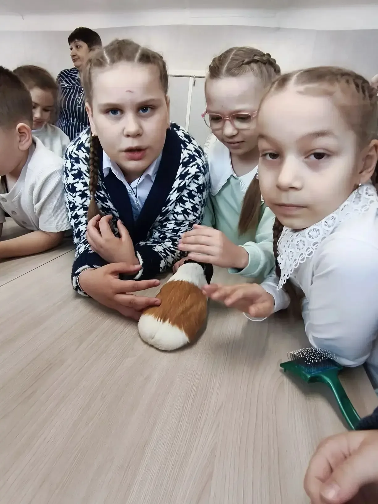 14 мая, ученики 1 «Б» класса посетили живой уголок. Ребята увидели разных животных: кроликов, черепа