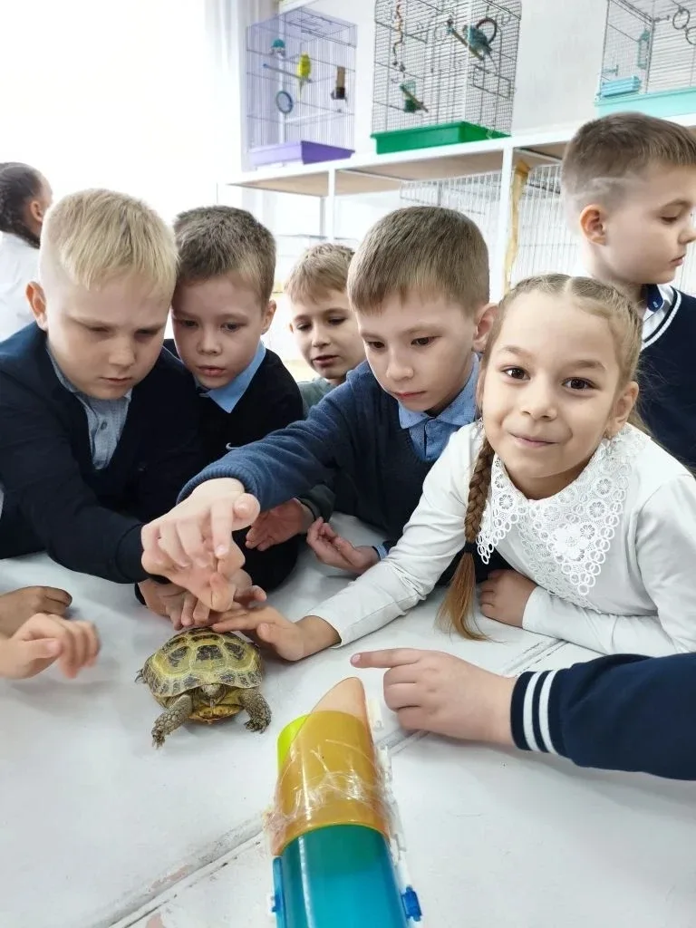 14 мая, ученики 1 «Б» класса посетили живой уголок. Ребята увидели разных животных: кроликов, черепа