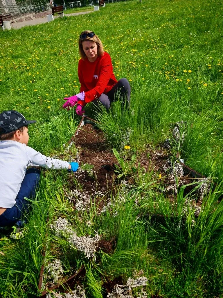 🌷 2В класс: жизнь дана на добрые дела!  Вчера, 21 мая 2026 года, ученики 2В класса вместе с родителя