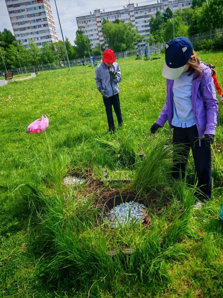 🌷 2В класс: жизнь дана на добрые дела!  Вчера, 21 мая 2026 года, ученики 2В класса вместе с родителя