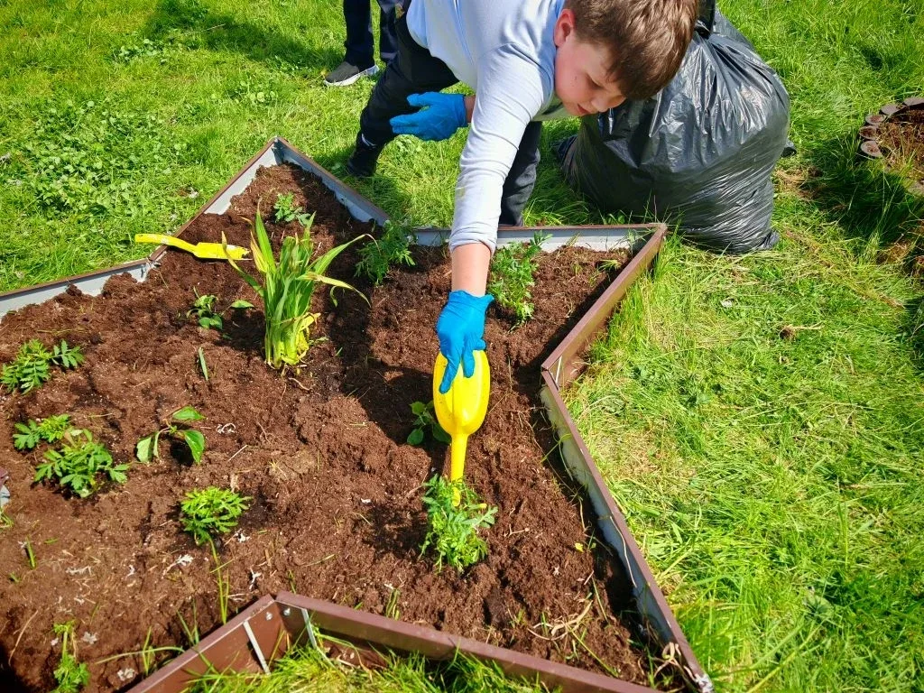 🌷 2В класс: жизнь дана на добрые дела!  Вчера, 21 мая 2026 года, ученики 2В класса вместе с родителя