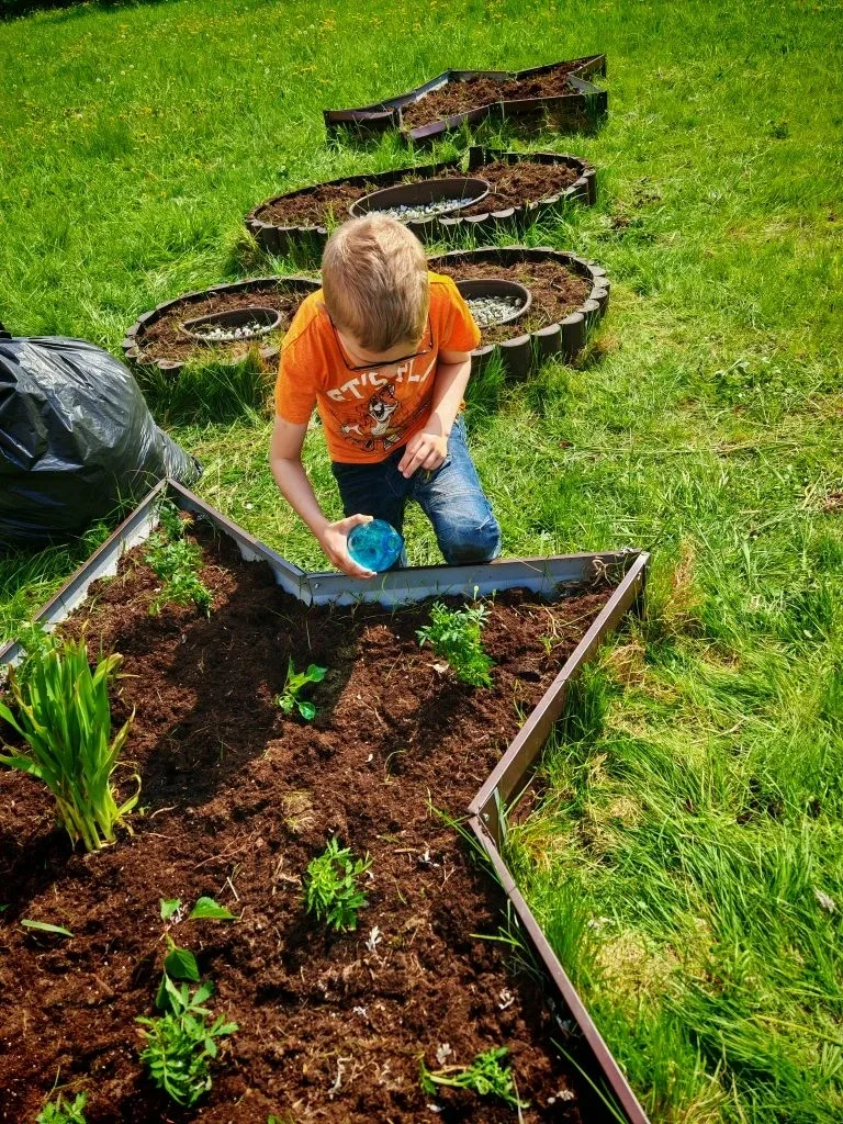🌷 2В класс: жизнь дана на добрые дела!  Вчера, 21 мая 2026 года, ученики 2В класса вместе с родителя