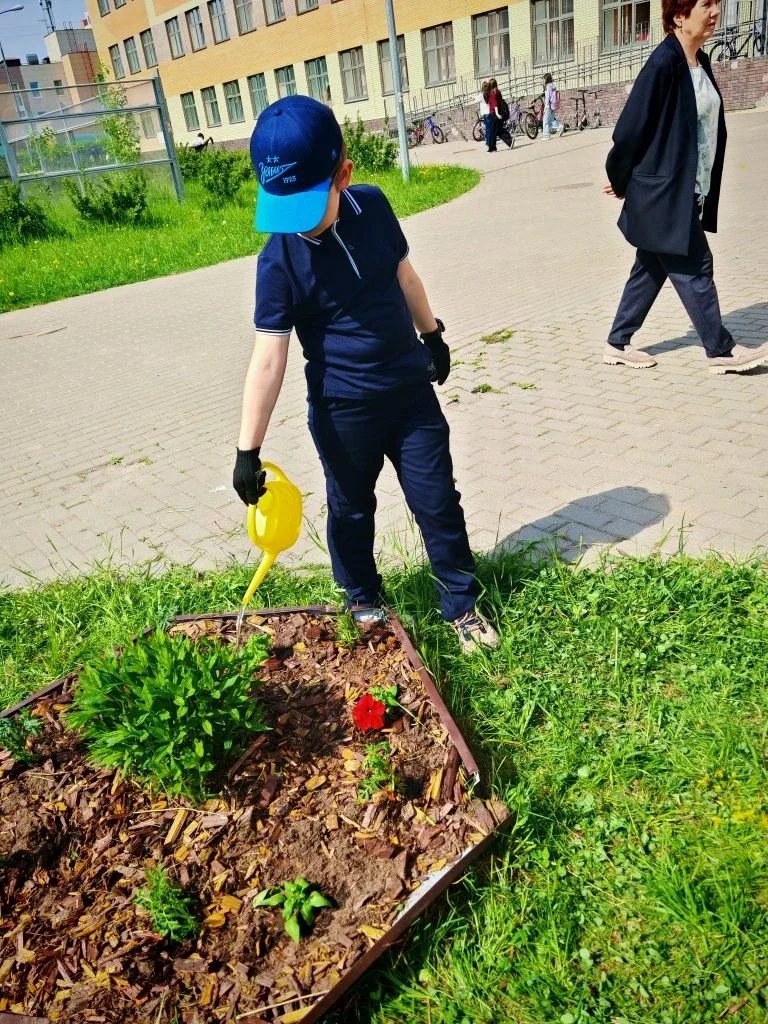🌷 2В класс: жизнь дана на добрые дела!  Вчера, 21 мая 2026 года, ученики 2В класса вместе с родителя