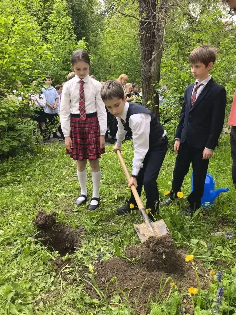 Сегодня ученики 4А и 4Б классов приняли участие в Международной акции «Сад памяти». 🇷🇺🌳 Ребята высад