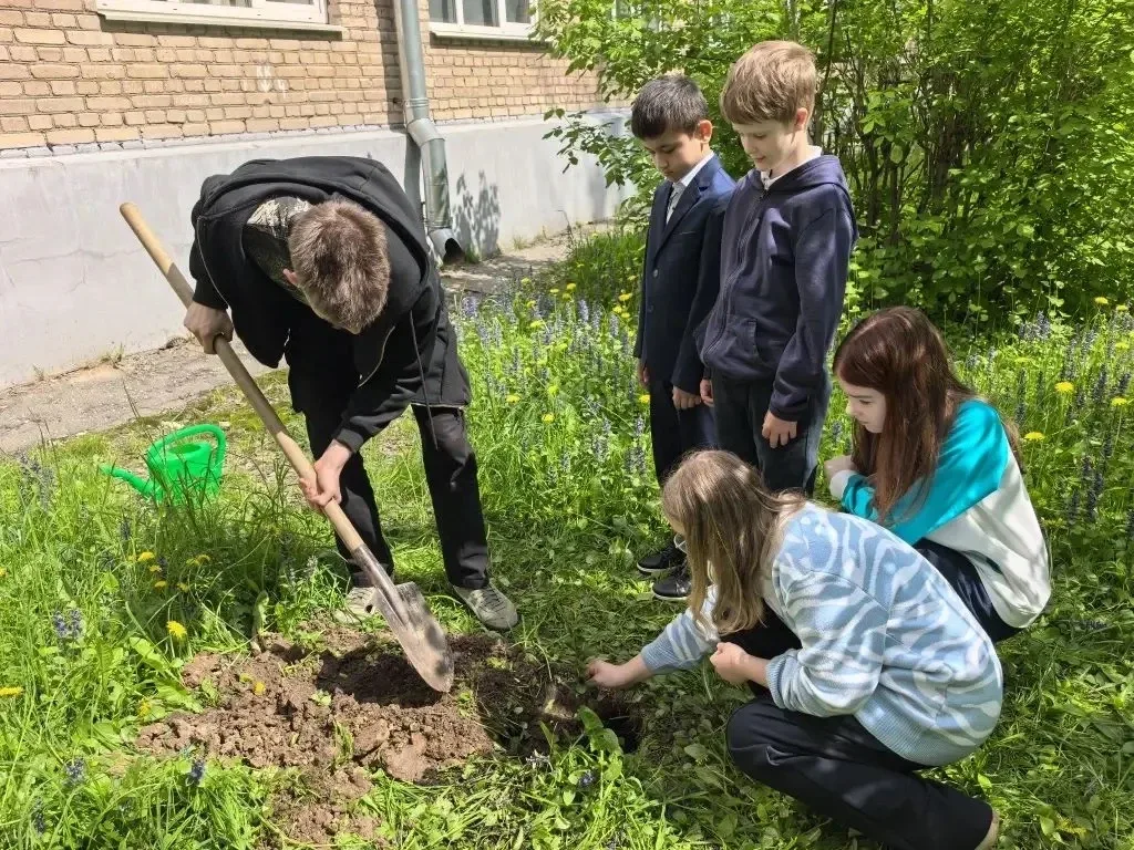 Сегодня ученики 4А и 4Б классов приняли участие в Международной акции «Сад памяти». 🇷🇺🌳 Ребята высад