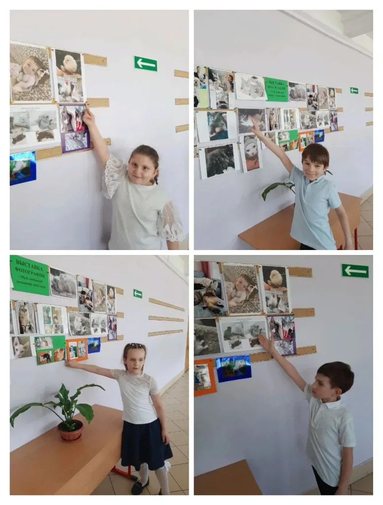 🐾 1А класс погрузился в мир добра и заботы! На уроке «Окружающий мир» ребята говорили о самом важном