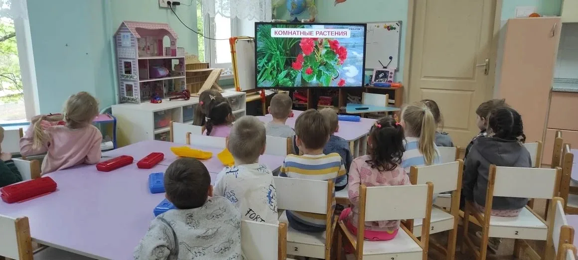 Растения - наши друзья!   🌿Очищают воздух,  Создают уют,  На окнах зеленеют,  Круглый год цветут 🌺🌱 