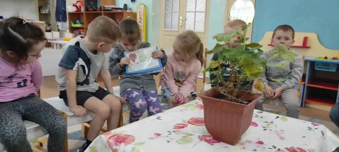 Растения - наши друзья!   🌿Очищают воздух,  Создают уют,  На окнах зеленеют,  Круглый год цветут 🌺🌱 