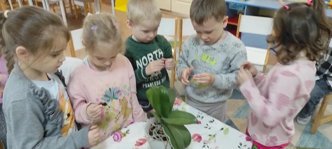 Растения - наши друзья!   🌿Очищают воздух,  Создают уют,  На окнах зеленеют,  Круглый год цветут 🌺🌱 