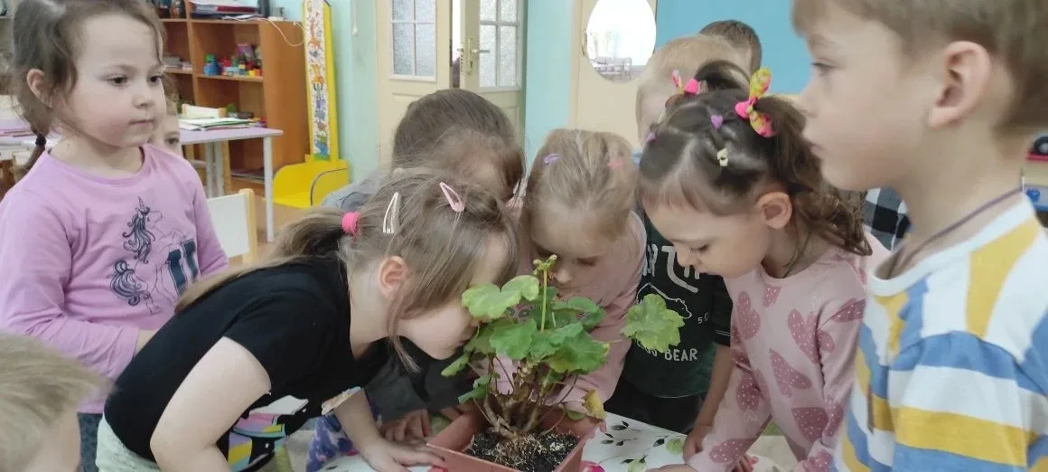 Растения - наши друзья!   🌿Очищают воздух,  Создают уют,  На окнах зеленеют,  Круглый год цветут 🌺🌱 