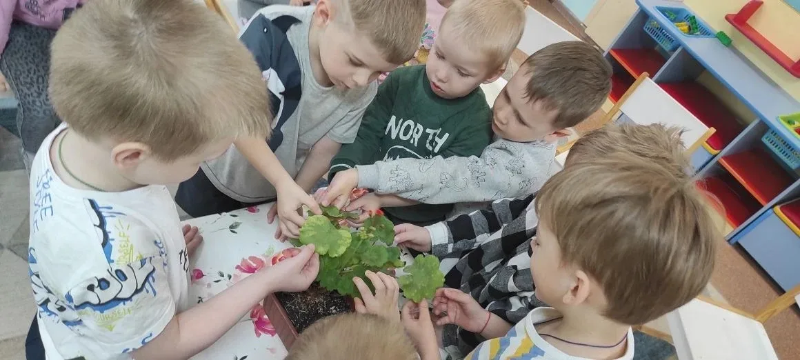 Растения - наши друзья!   🌿Очищают воздух,  Создают уют,  На окнах зеленеют,  Круглый год цветут 🌺🌱 