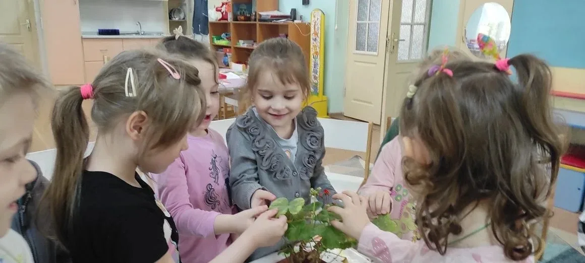 Растения - наши друзья!   🌿Очищают воздух,  Создают уют,  На окнах зеленеют,  Круглый год цветут 🌺🌱 