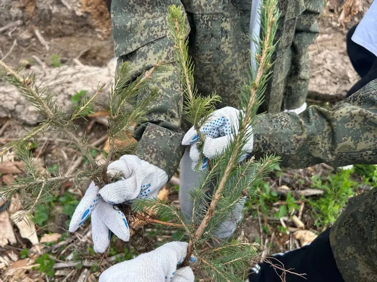 🌲 В Рычково появился «Сад Памяти»!  Вчера в деревне Рычково под Истрой прошла масштабная эколого-пат