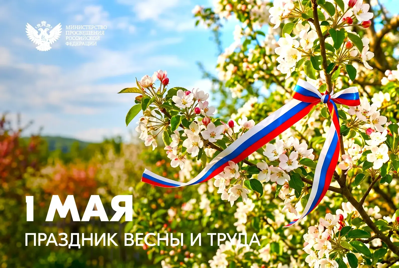 🇷🇺 Поздравление Министра просвещения РФ Сергея Кравцова с 1 Мая – Праздником Весны и Труда  Дорогие 