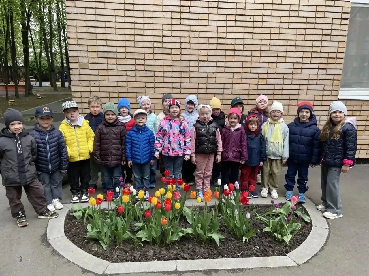 🌷 Чудо на клумбе: наши тюльпаны проснулись!  Помните, как осенью мы с ребятами закапывали в землю ма