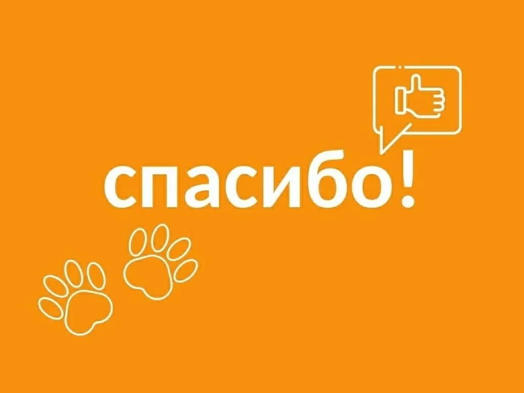 Вот такие теплые слова нам написал приют бездомных животных «Надежда на жизнь»  ♥️Сердечно благодари