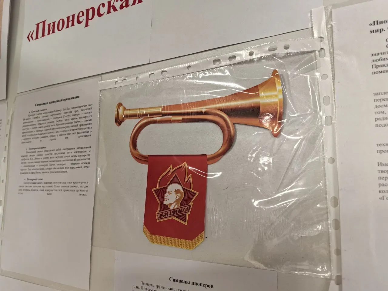 ✨ 19 мая в России отмечается День детских общественных объединений и организаций. Эта дата имеет глу