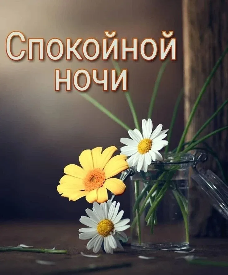 🌿🔶💛🌿🔶💛🌿🔶💛   Доброй и спокойной ночи, дорогие! Хорошего вам телесного и душевного отдыха. Пусть ваши 