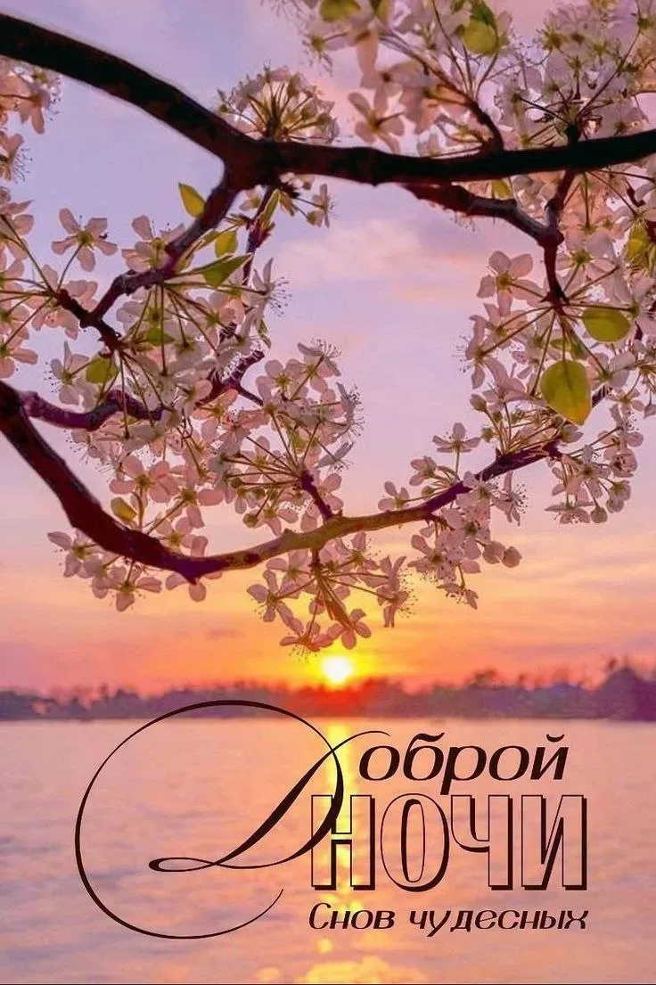 🌸🔶🌸🔶🌸🔶🌸🔶🌸🔶  В этот вечер я желаю, Чтобы Боженька хранил, Чтоб на все дела земные Он тебя благословил