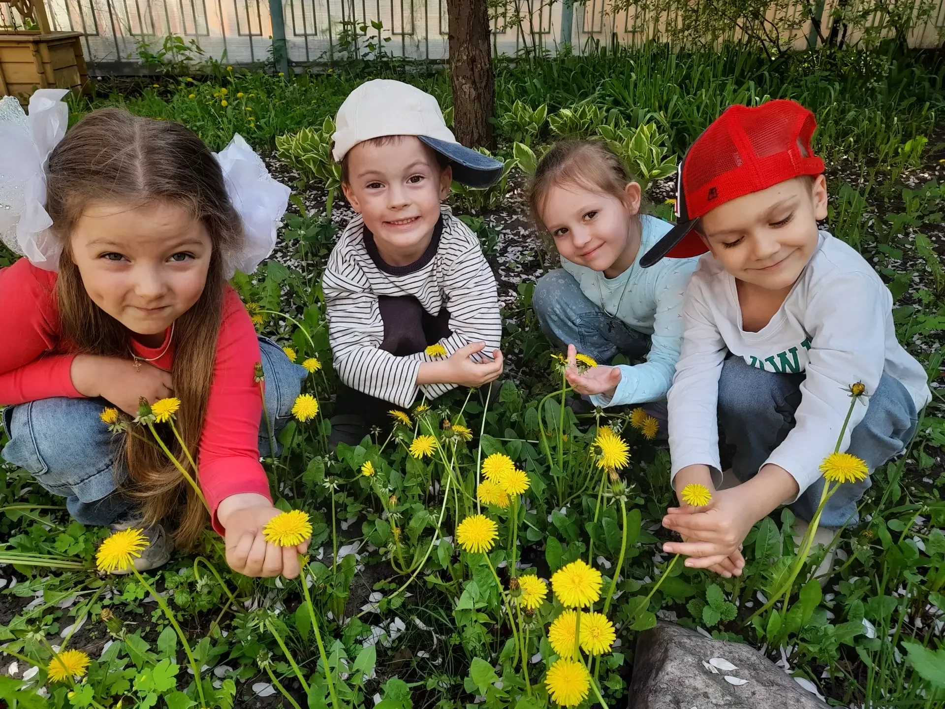 🌼 Всемирный день одуванчика отмечается 13 мая. Это праздник «кусочка майского солнышка»! Яркие цветы