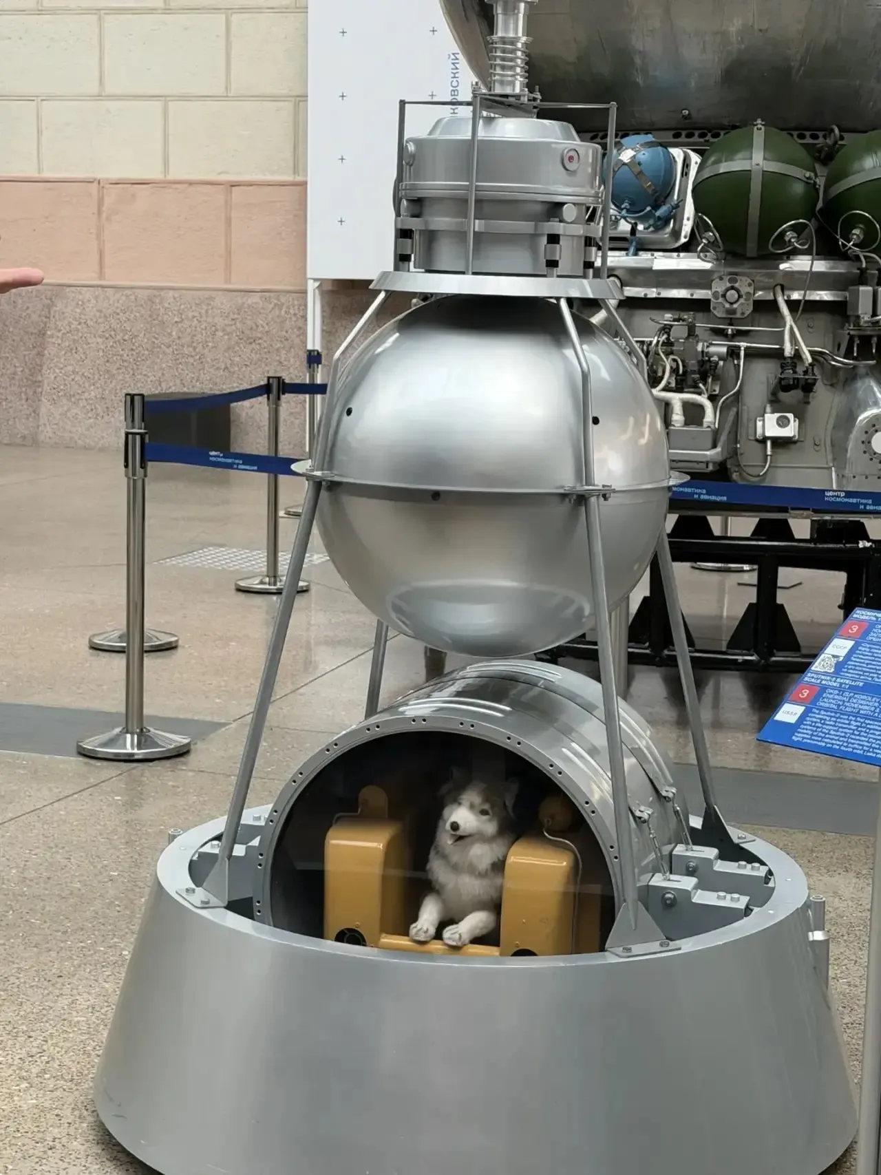 🚀 Космическое приключение!  Учащиеся 6 «А-Н» класса совершили настоящий прыжок во времени и простран