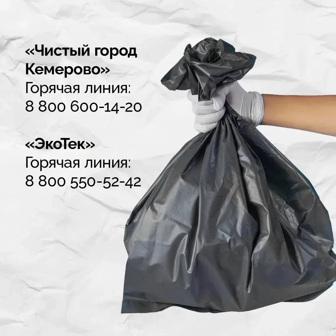 В Кузбассе за обращение с ТКО отвечают два региональных оператора: «Чистый Город Кемерово» (зона «Се