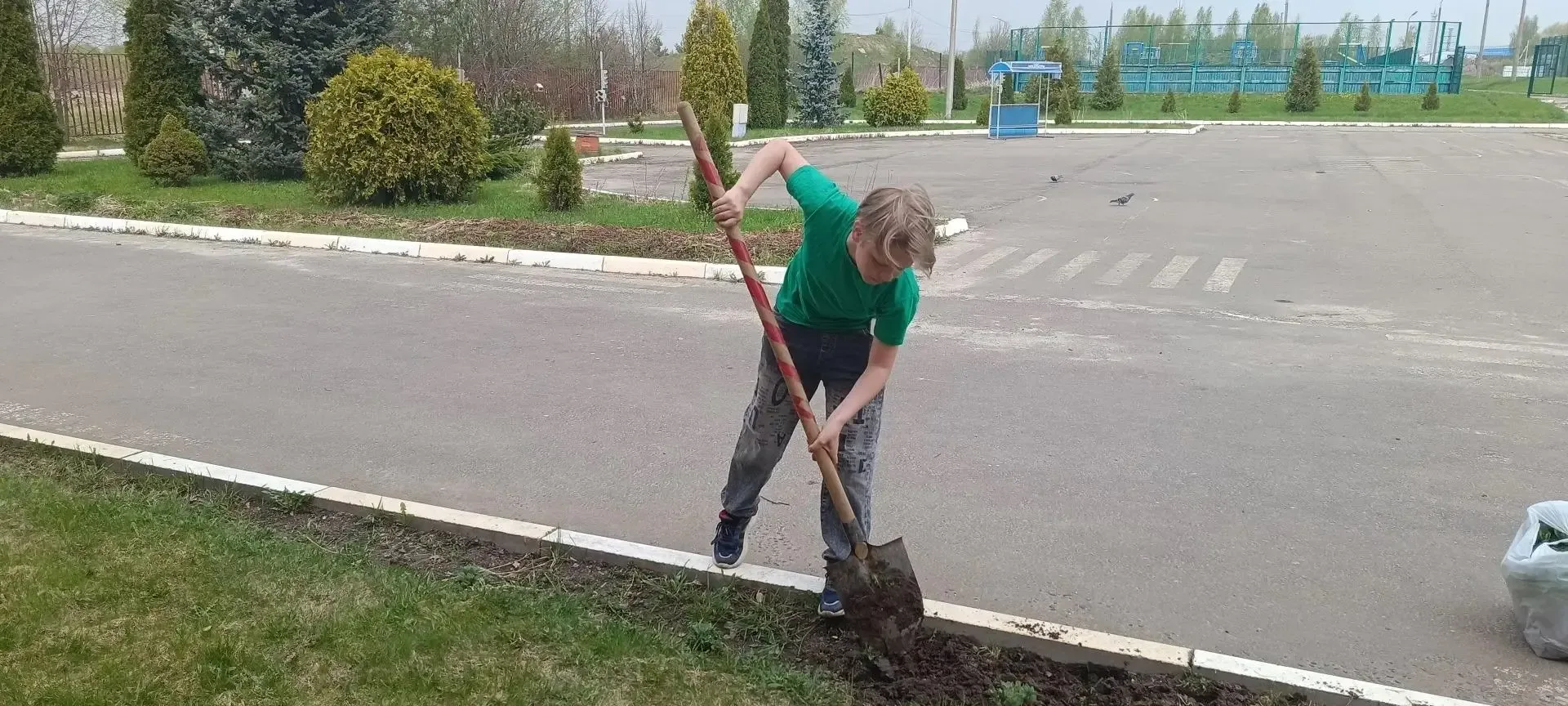 "Зеленая весна" набирает обороты!!! 9б  классов сегодня высаживал цветы, которые были выращены ими с