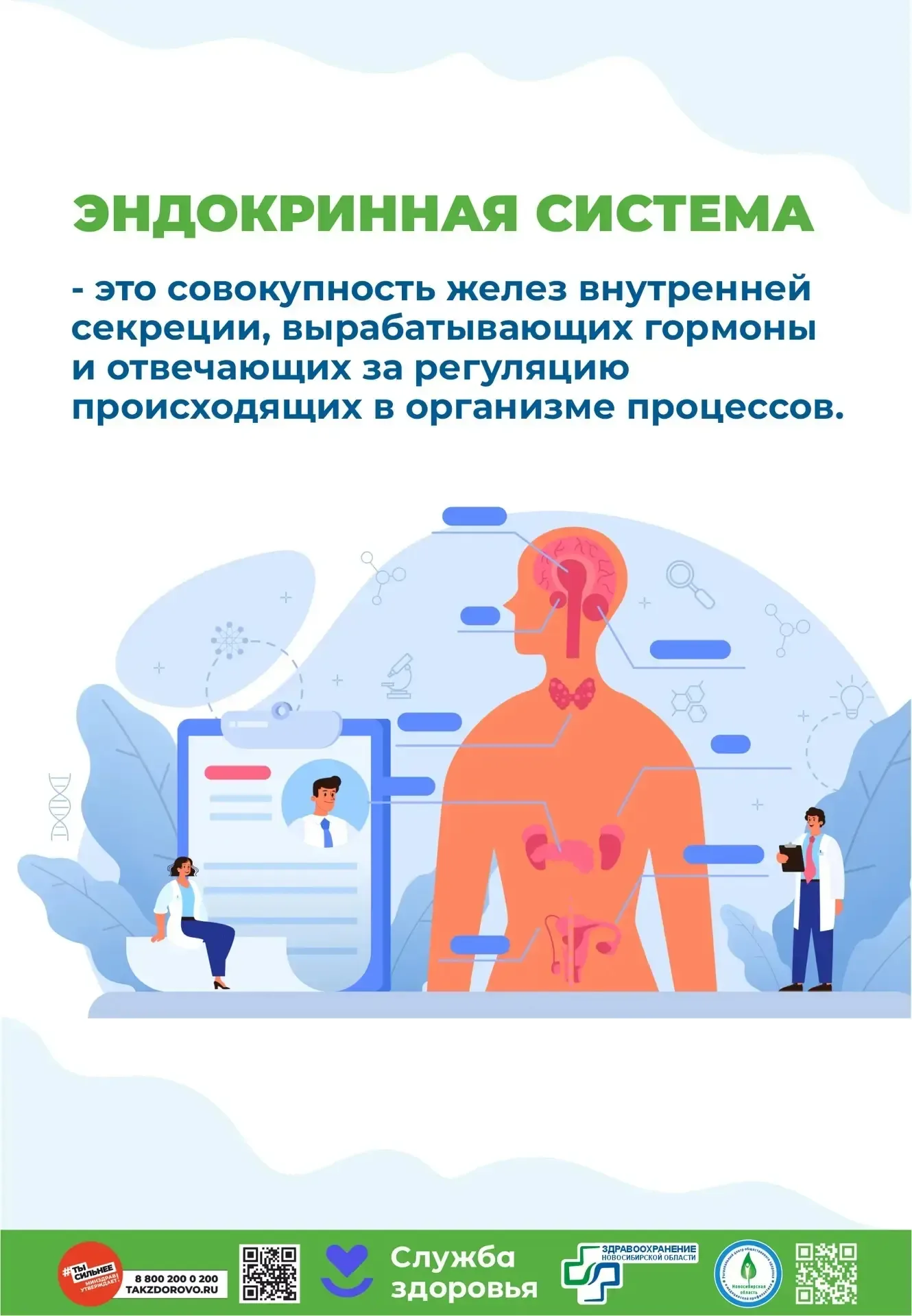 ✅Профилактика заболеваний эндокринной системы💪
