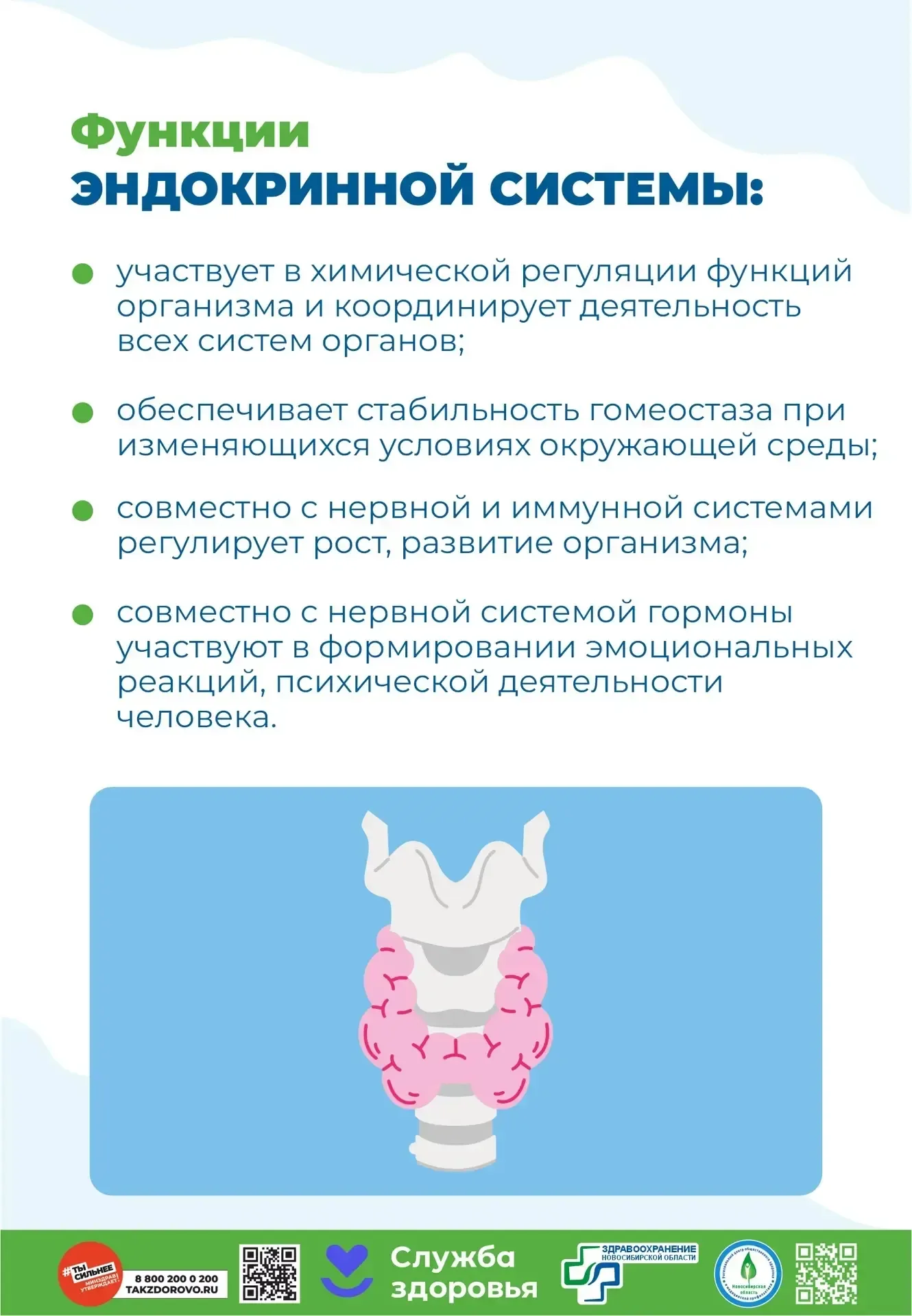 ✅Профилактика заболеваний эндокринной системы💪