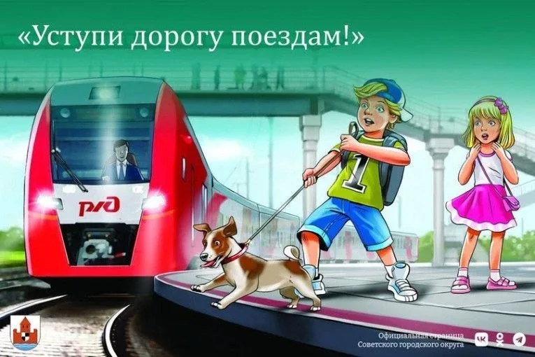С 1 по 31 мая 2026 года по всей стране проходит месячник безопасности под названием «Уступи дорогу п