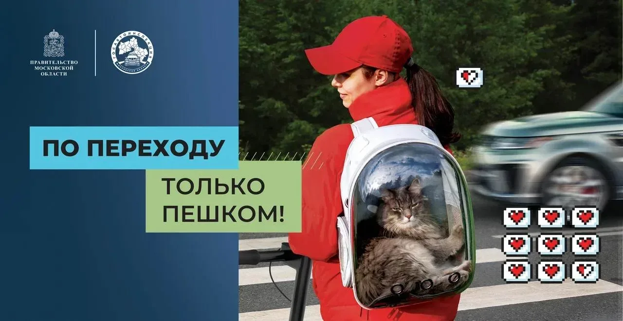 ▌ Соблюдайте правила «Безопасной мобильности»!  В последнее время в России всё чаще фиксируются доро