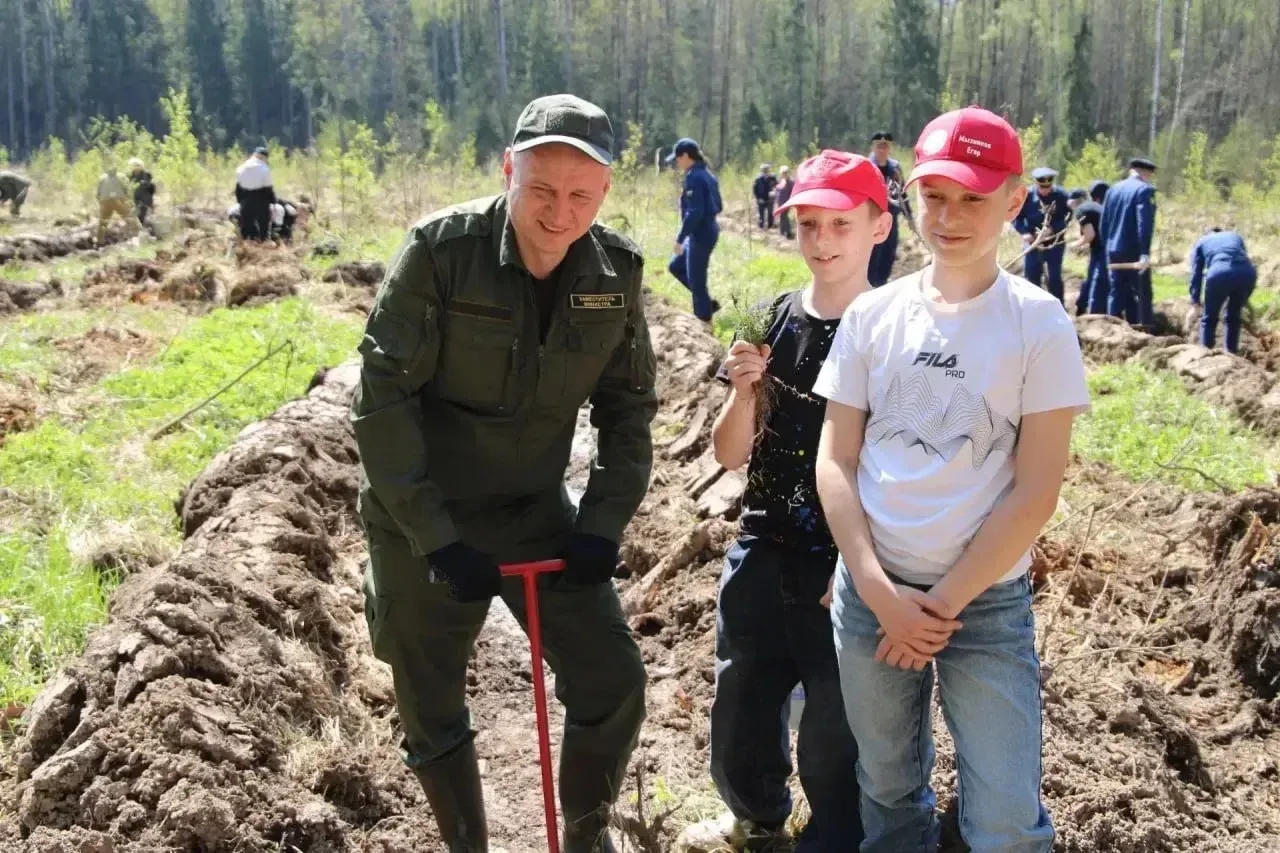 «12 тысяч елей - в память о героях!» В Тульской области, на территории Петрушинского лесничества под