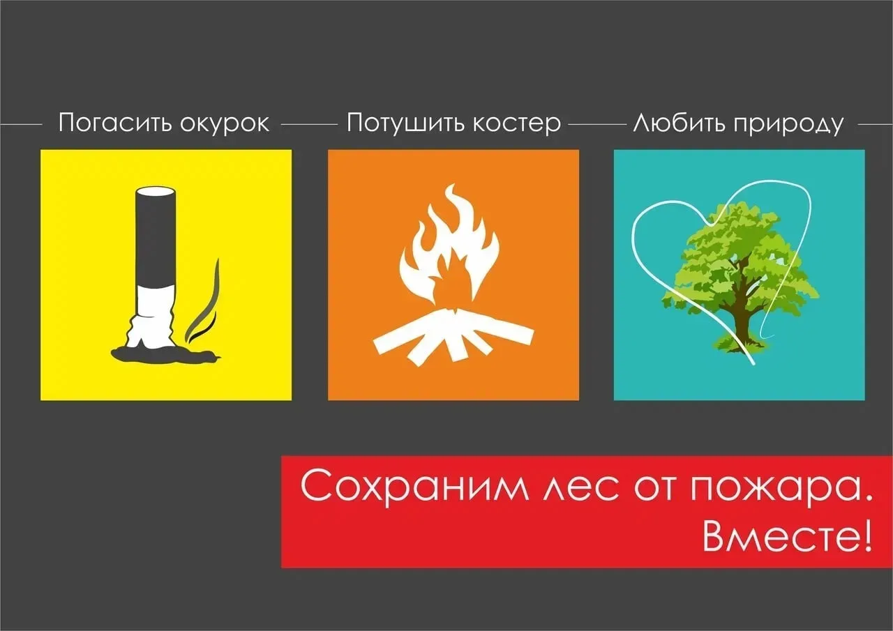 🌳Сохраняйте красоту природы, проявляя внимательность и уважение: затушите сигарету, уберите мусор, т