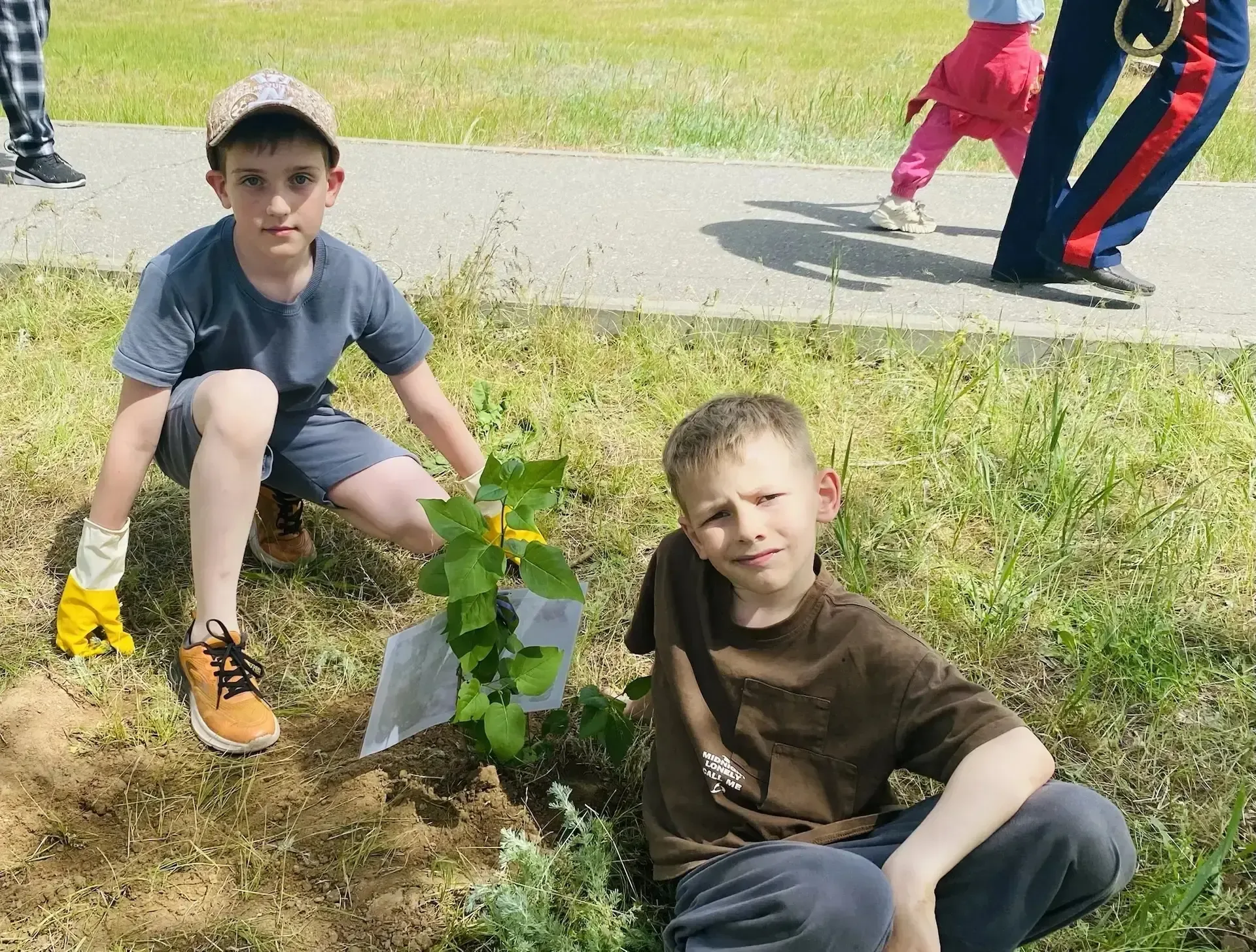 🌸 Сажаем деревья и храним память: акция «Сирень Победы» в лагере «Сказка»!   16 мая на базе Детского