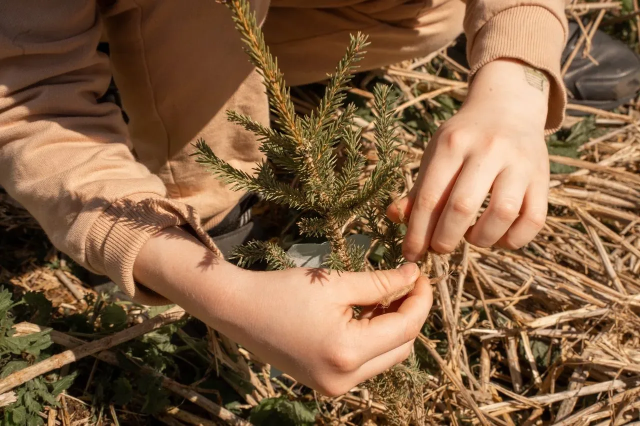 🌳 «Леса Первых» ждут тебя 17 мая!  Масштабная экологическая акция по посадке именных деревьев «Леса 