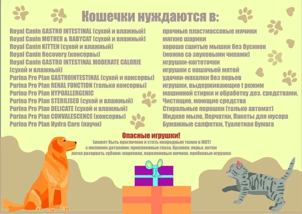 🐾«ДоброЛап»  Завершим учебный год добрыми делами и сделаем мир для четвероногих друзей лучше!  🐶🐈‍⬛Д