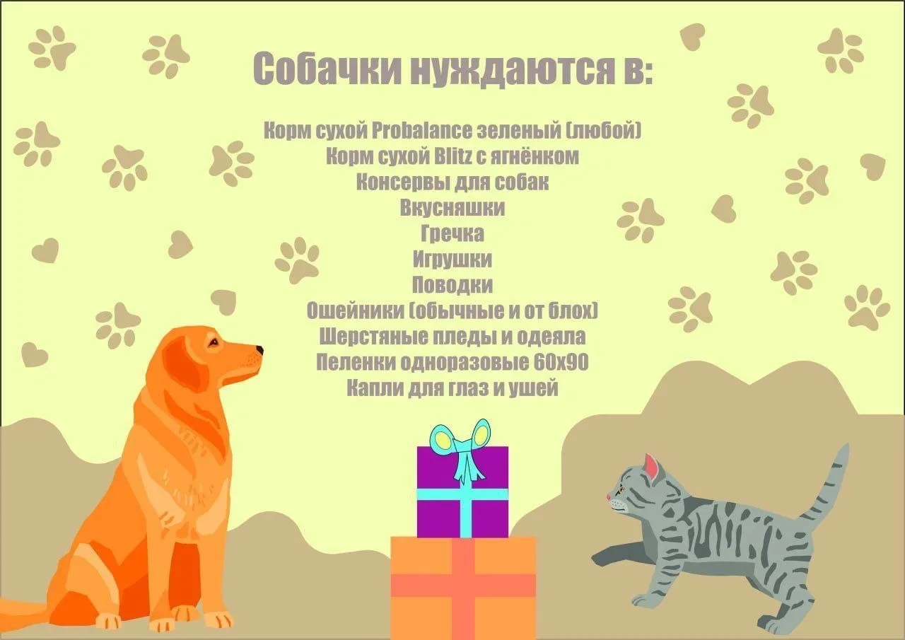 🐾«ДоброЛап»  Завершим учебный год добрыми делами и сделаем мир для четвероногих друзей лучше!  🐶🐈‍⬛Д